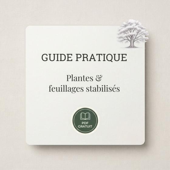 Guide des plantes et bouquets stabilisés