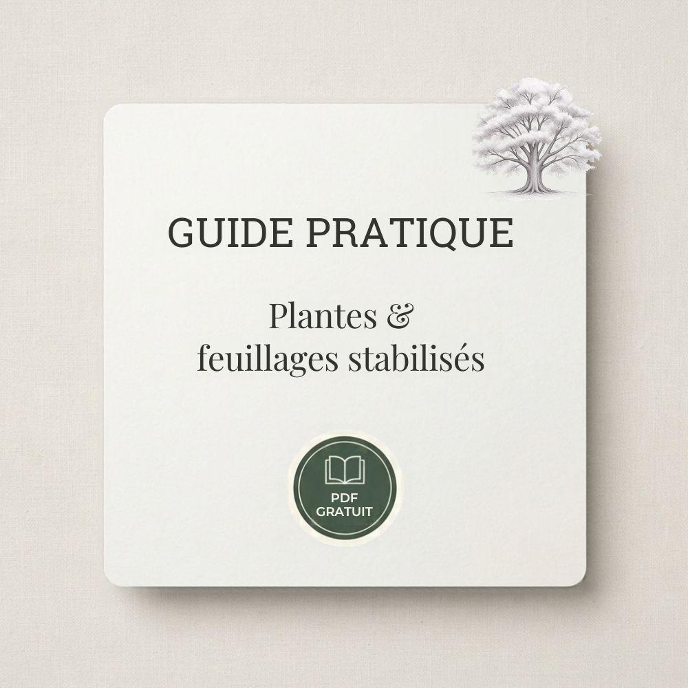 Guide des plantes et bouquets stabilisés