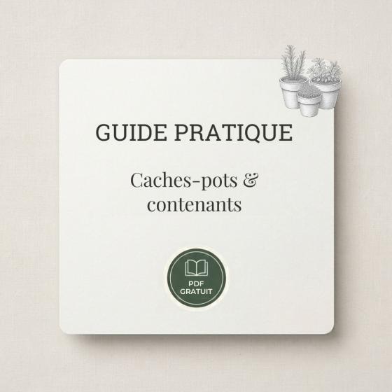 Guide pratique au format PDF pour bien choisir ses caches-pots et contenants pour plantes et arbustes stabilisés