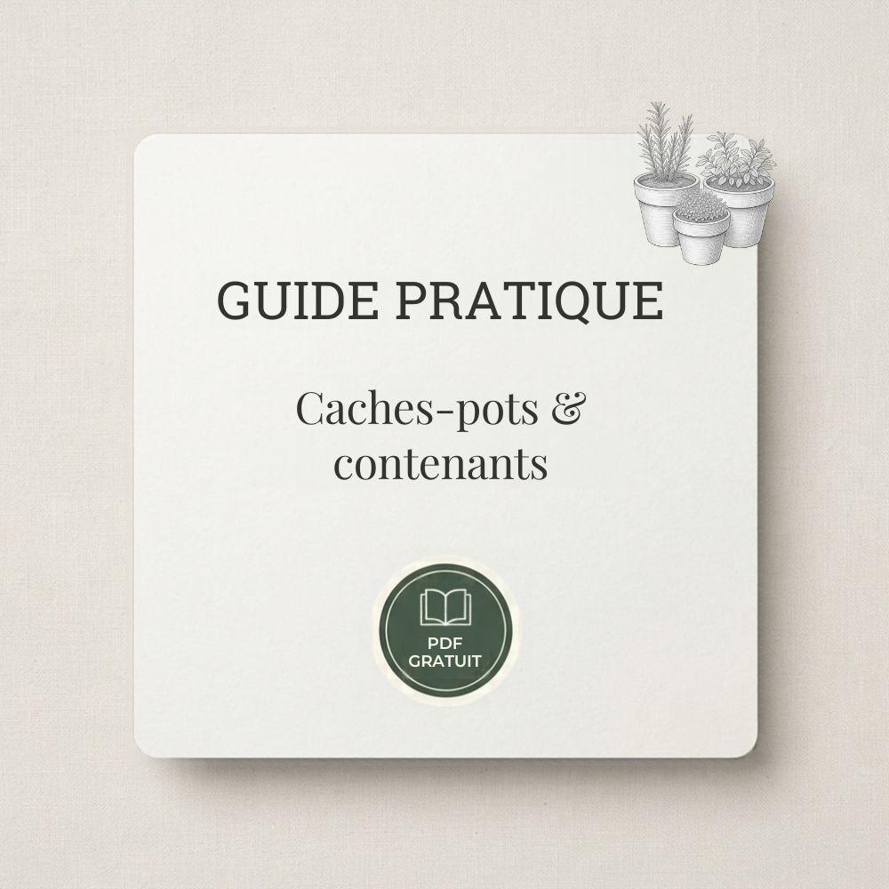 Guide pratique au format PDF pour bien choisir ses caches-pots et contenants pour plantes et arbustes stabilisés