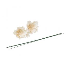 Fleurs de sola Magnolia avec tiges pour compositions florales