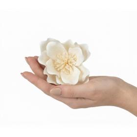 Fleur de sola Magnolia en bois naturel présentée dans la main