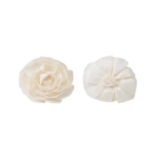 Vue de face et de profil d'une fleur de sola Camélia naturelle