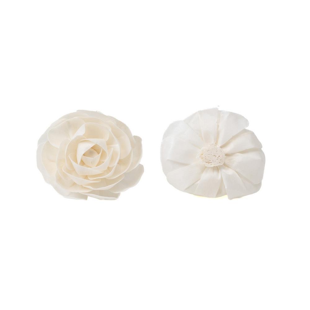 Vue de face et de profil d'une fleur de sola Camélia naturelle