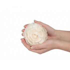 Fleur de sola Camélia en bois naturel présentée entre les mains