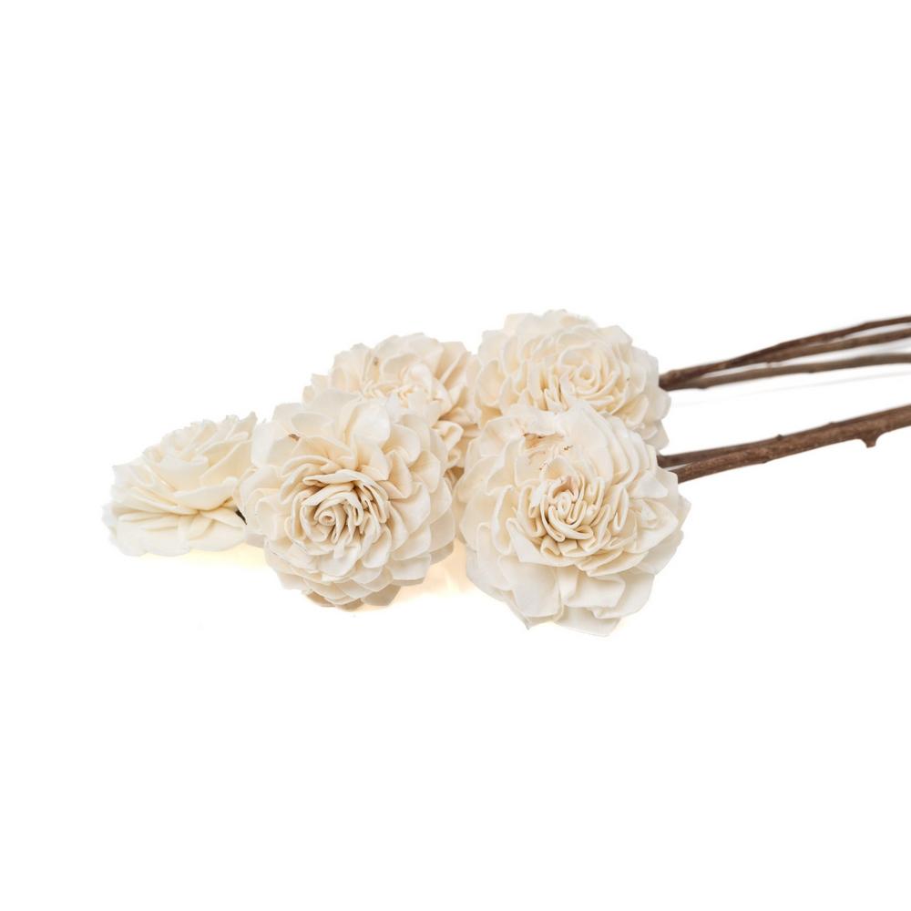 Lot de têtes de fleurs de sola Dahlia naturelles en bois