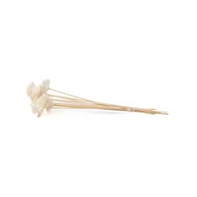 Lot de fleurs de sola Rose des bois naturelles en bois