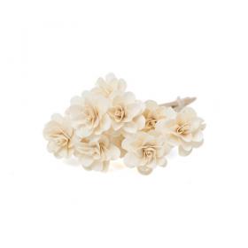 Fleurs de sola Rose des bois avec longues tiges en bois naturel