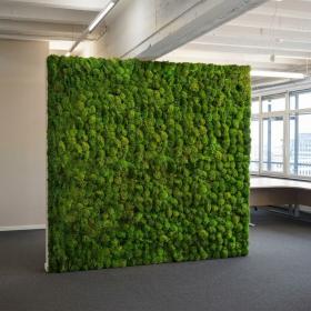 Mur végétal stabilisé mousse de Provence dans un espace de bureaux