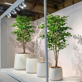 Ginkgo artificiel grand format en pot dans un décor d'exposition moderne