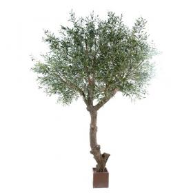 Olivier artificiel haut de gamme réaliste sur tronc naturel, arbre artificiel de grande taille pour décoration intérieure.