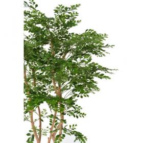 Arbre artificiel acacia 180 cm avec troncs en bois naturel et pot noir