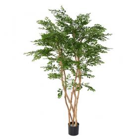 Acacia artificiel haut de gamme 180 cm pour décoration d'intérieur