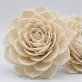 gros plan de deux fleurs artisanales en bois de sola de couleur crème