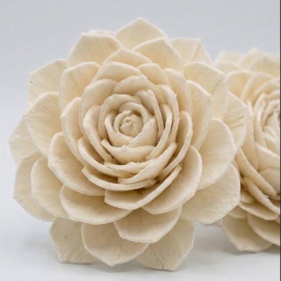 gros plan de deux fleurs artisanales en bois de sola de couleur crème