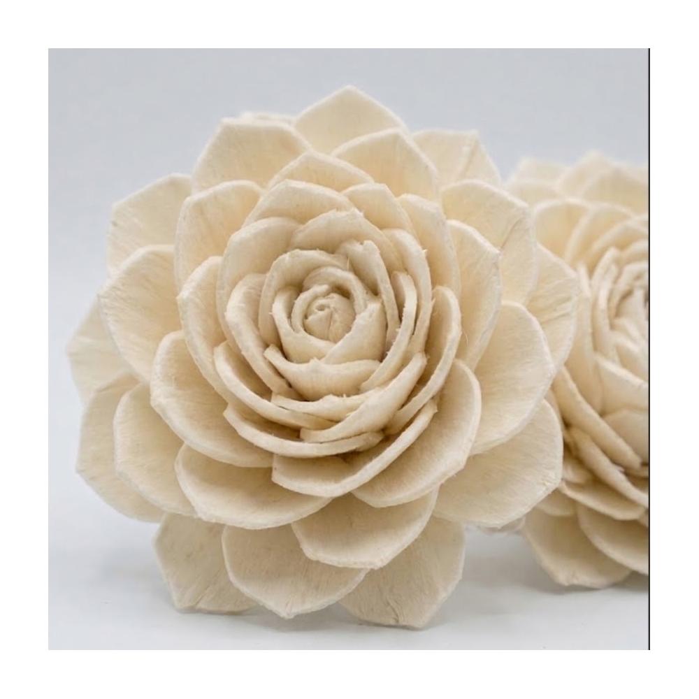 gros plan de deux fleurs artisanales en bois de sola de couleur crème