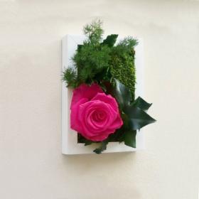 Cadre végétal stabilisé SWEET HEART avec rose eternelle fushia et végétaux stabilisés accroché au mur