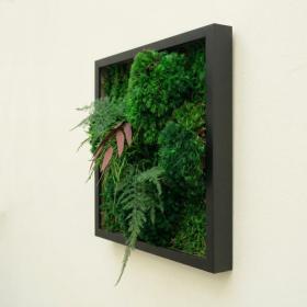 Détail en relief du tableau végétal stabilisé black hero avec touche de rouge et cadre noir