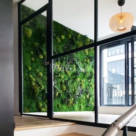 Mur végétal stabilisé Multivégétal installé derrière une verrière de bureau moderne en acier noir.