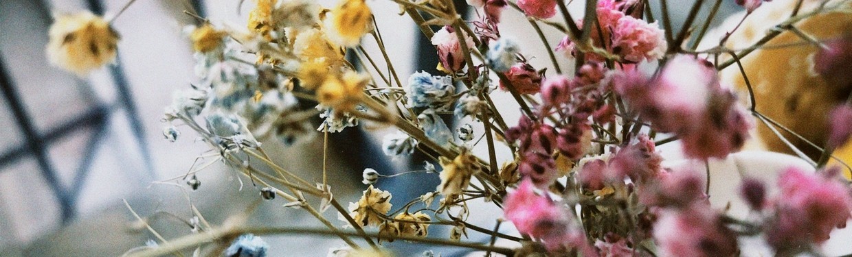 Fleurs séchées — bouquets sans entretien | Deco-Vegetale.com