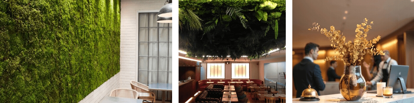 Mur végétal stabilisé vert installé dans un restaurant et plafond vegetal
