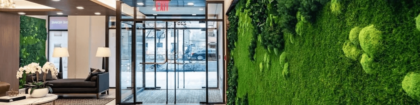 Mur végétal stabilisé vert dans le hall d’un établissement avec baie vitrée