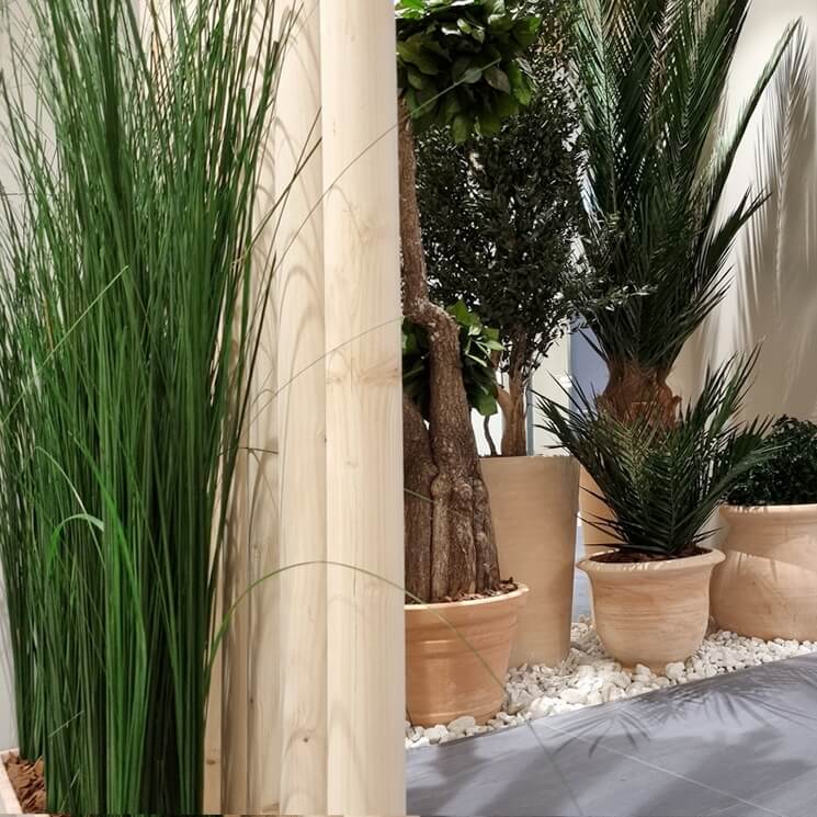 Hautes herbes et plantes stabilisées en pots en terre cuite près d'une colonne en pierre