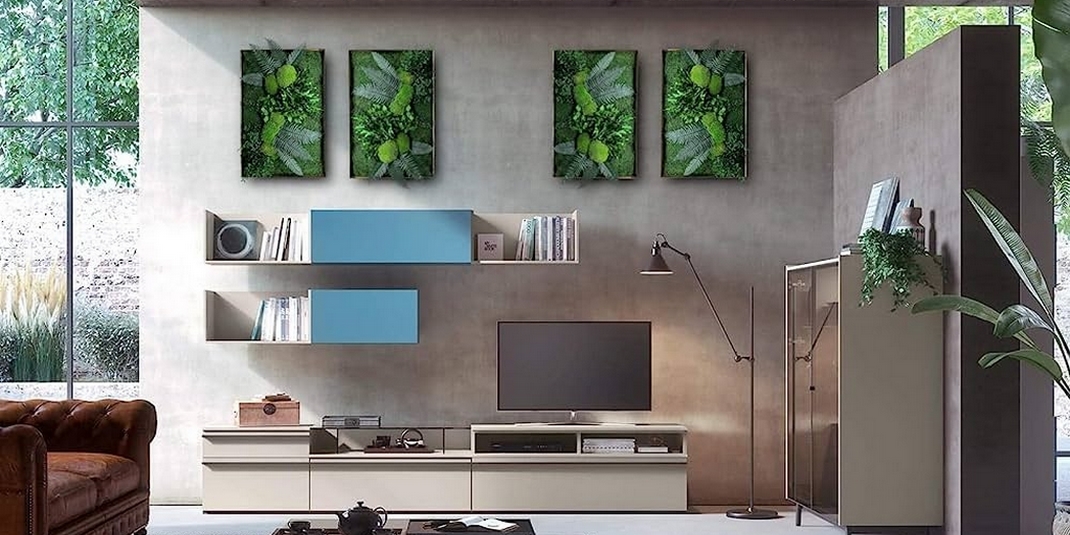 tableaux vegetaux en plantes stabilisées indentique design graphique dans un salon au dessus d'un meuble tele