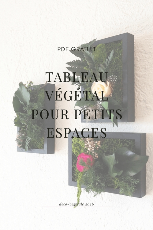 guide des tableaux vegetaux petits formats pour petites espaces