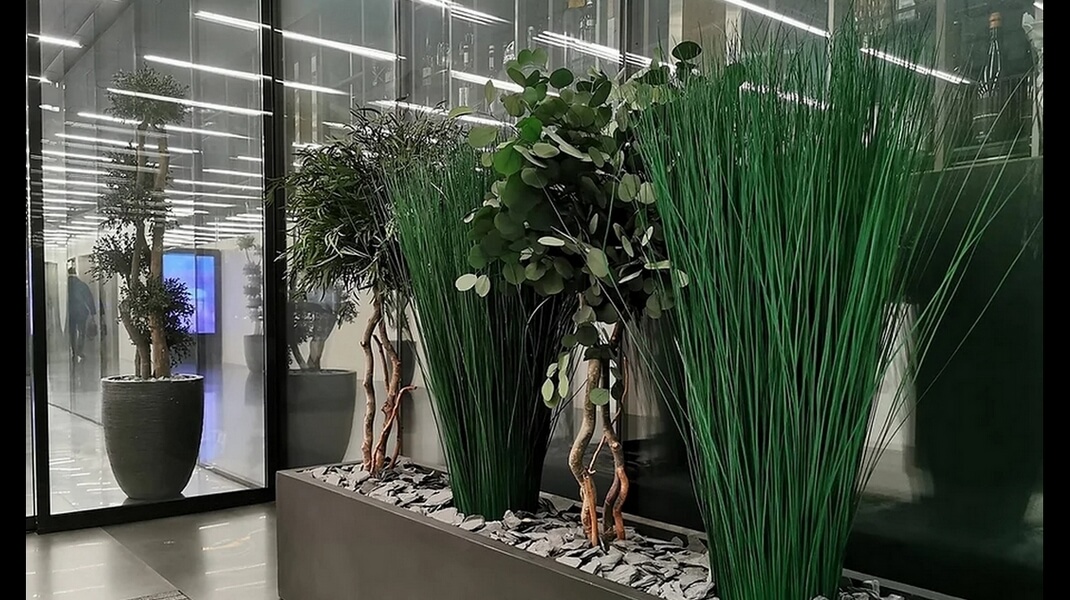 hall plantes stabilisees