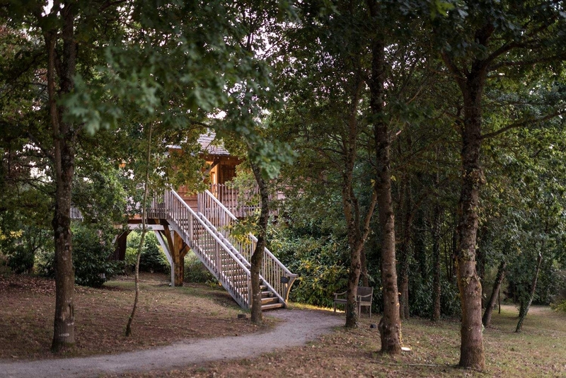 Chemin dans une forêt à La Grée des Landes
