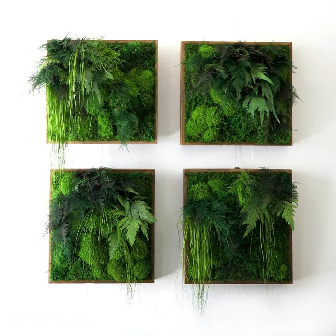 Quatre tableaux végétaux carrés en plantes stabilisées, disposés en 2x2 sur un mur