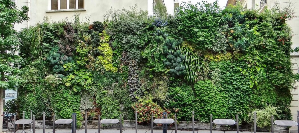 mur vegetal en facade