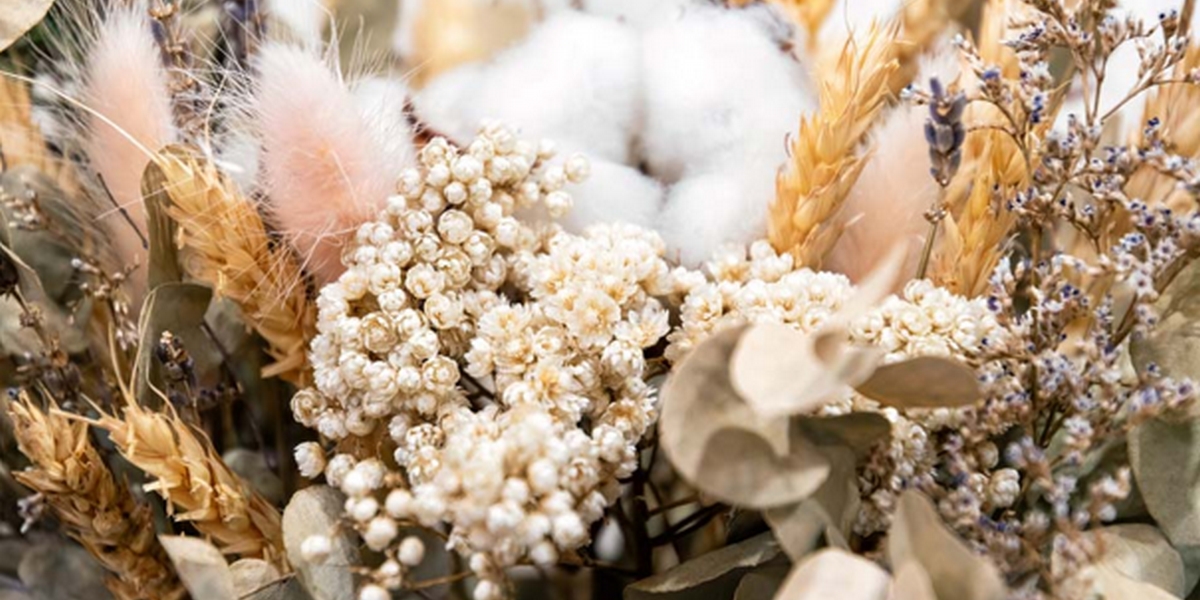 Gros plan de bouquet de fleurs séchées dans des tons clairs et beiges