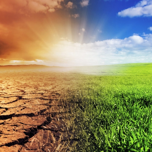 Terre craquelée aride se transformant en champ vert, ciel bleu ensoleillé