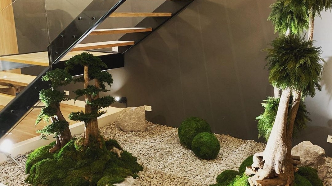 plantes stabilisées