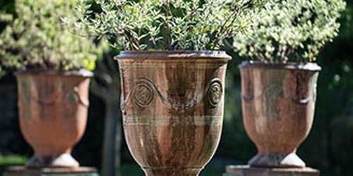 Pots d'anduze en terracotta brun alignés devant un arbre