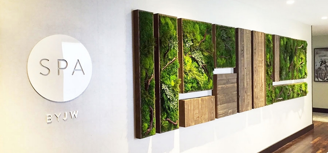 ensemble de tableaux vegetaux et panneaux de bois dans un spa
