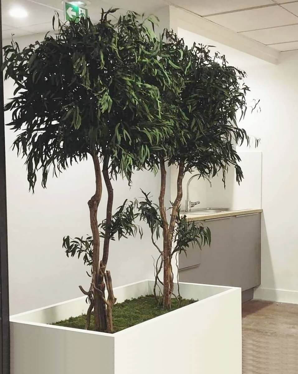 Tableau végétal stabilisé accroché au mur au-dessus d’un meuble dans un salon