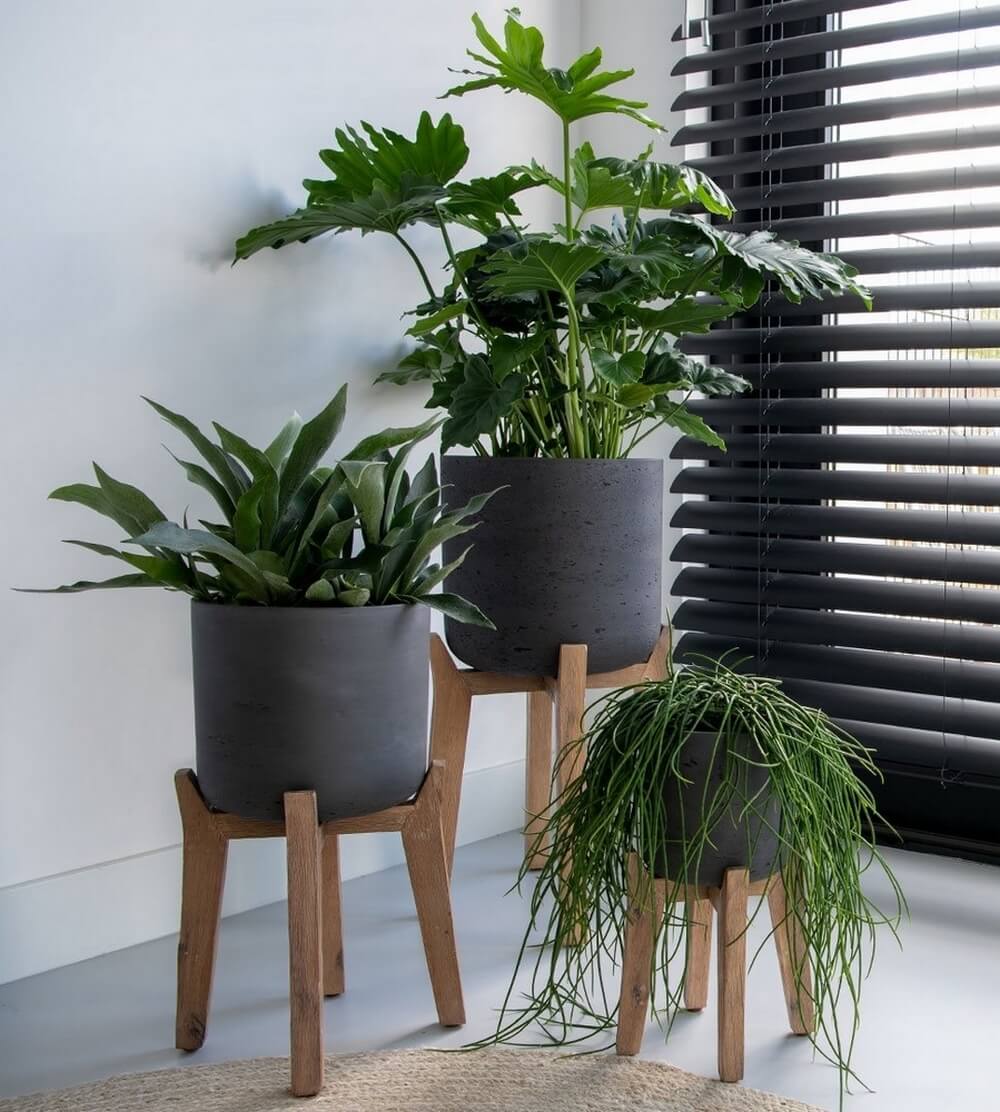 Plantes vertes dans des pots surelevés en bois