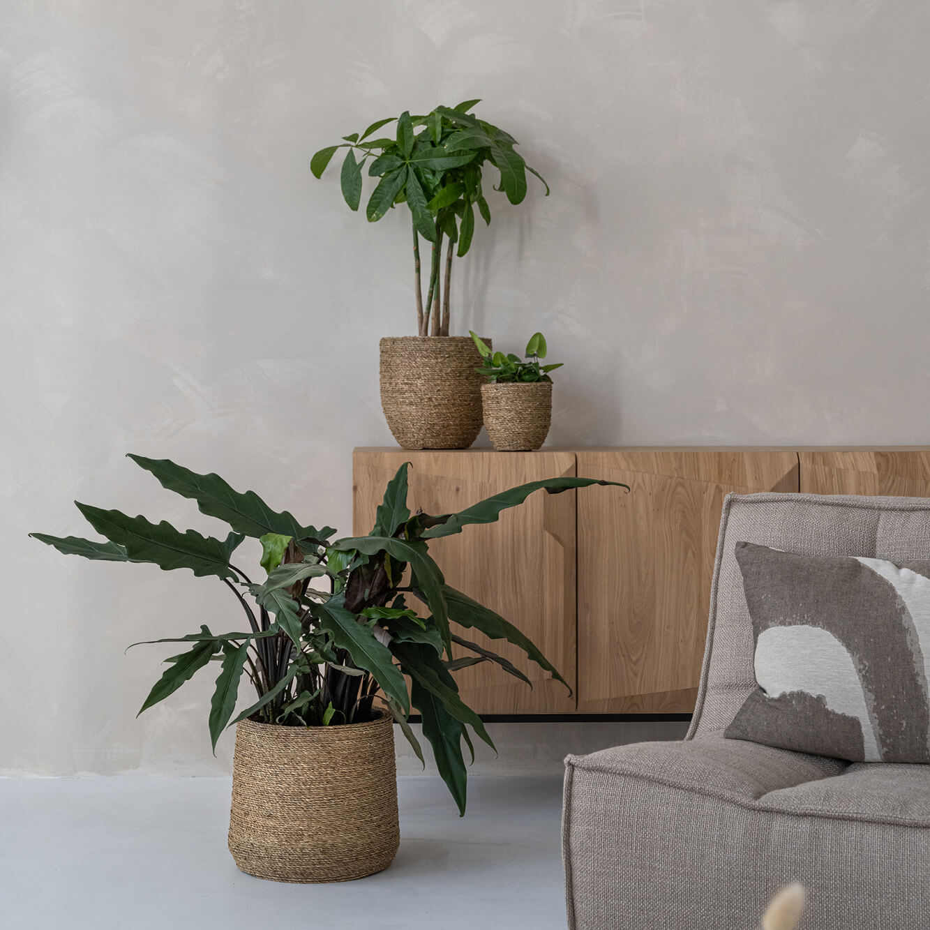 Plante verte dans un pot posé sur un petit meuble dans un salon