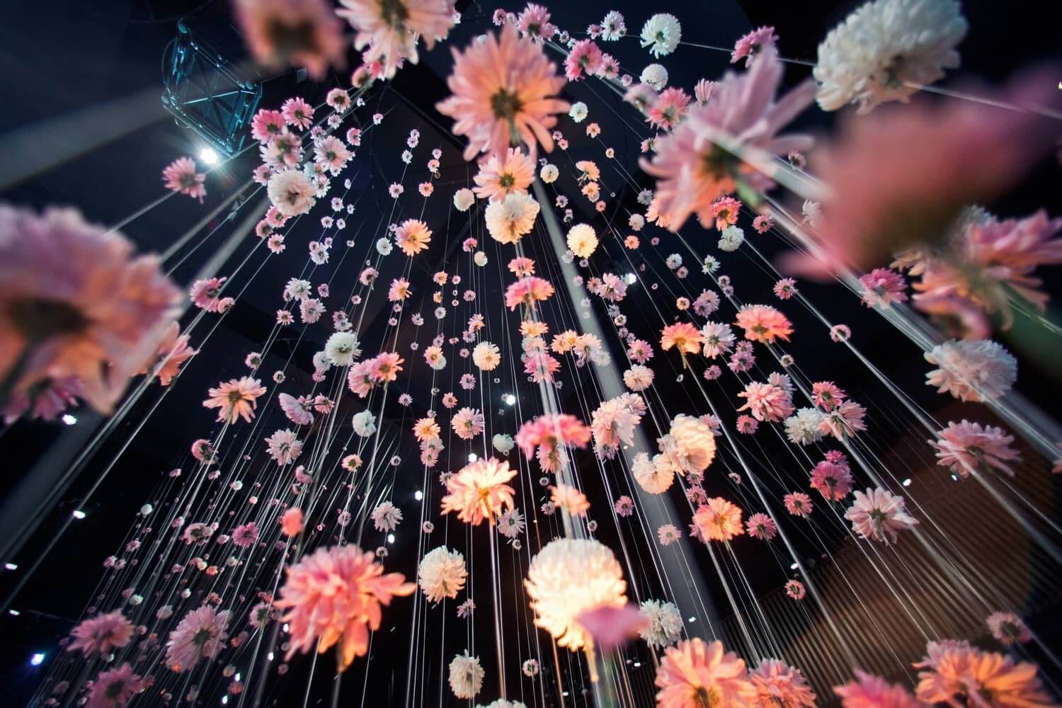 cascade de fleurs séchés en ciel pour evenement