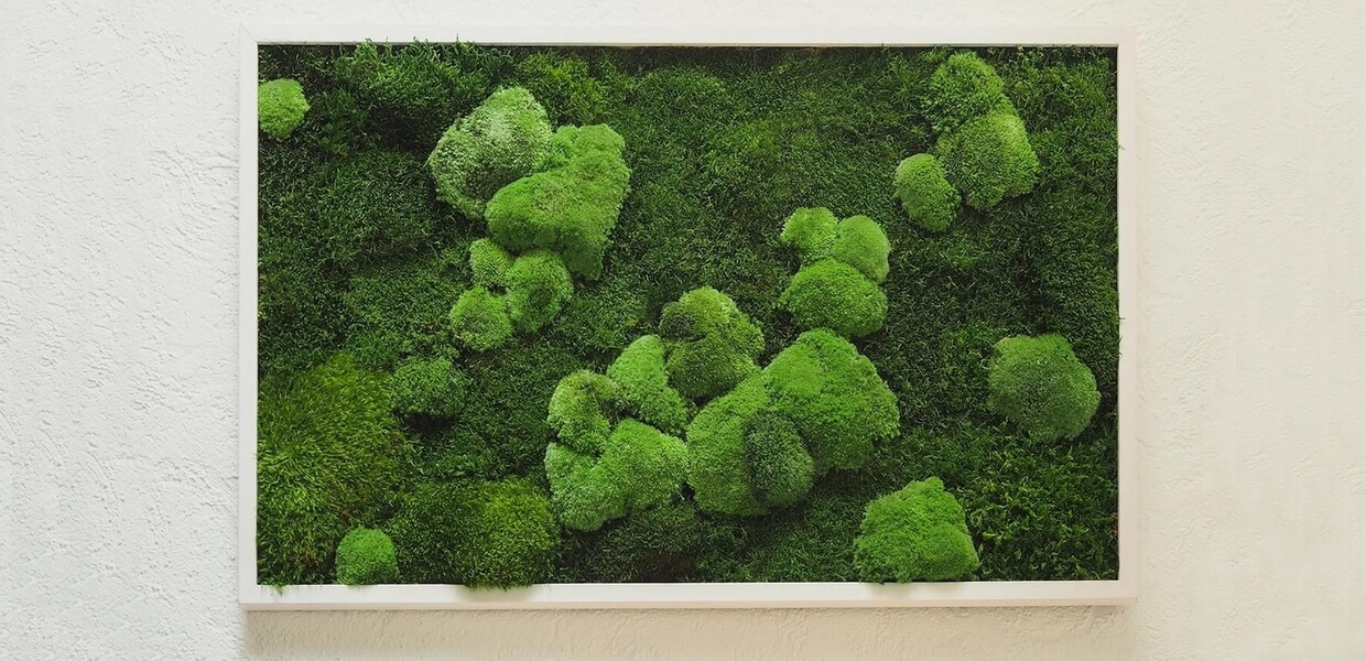 tableau vegetal stabilisé feroe melange de mousses photo produit