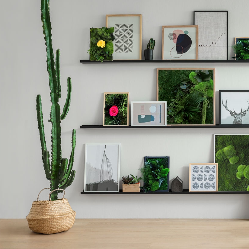 Mur décoré avec petits cadres verts au-dessus d’une étagère avec cactus