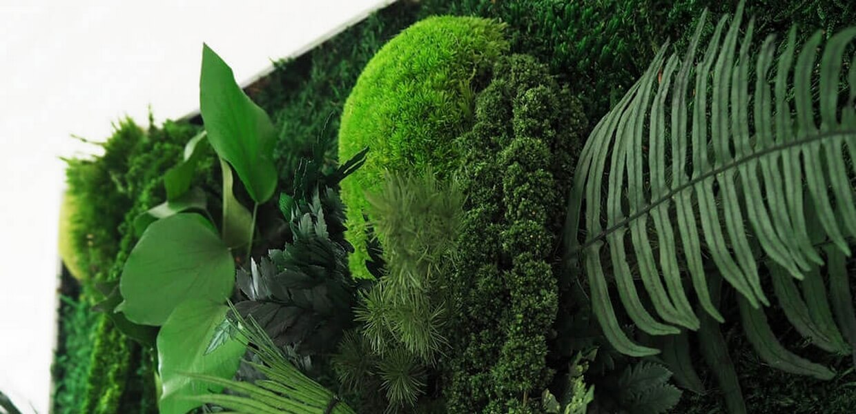 gros plan d'un tableau vegetal stabilisé 