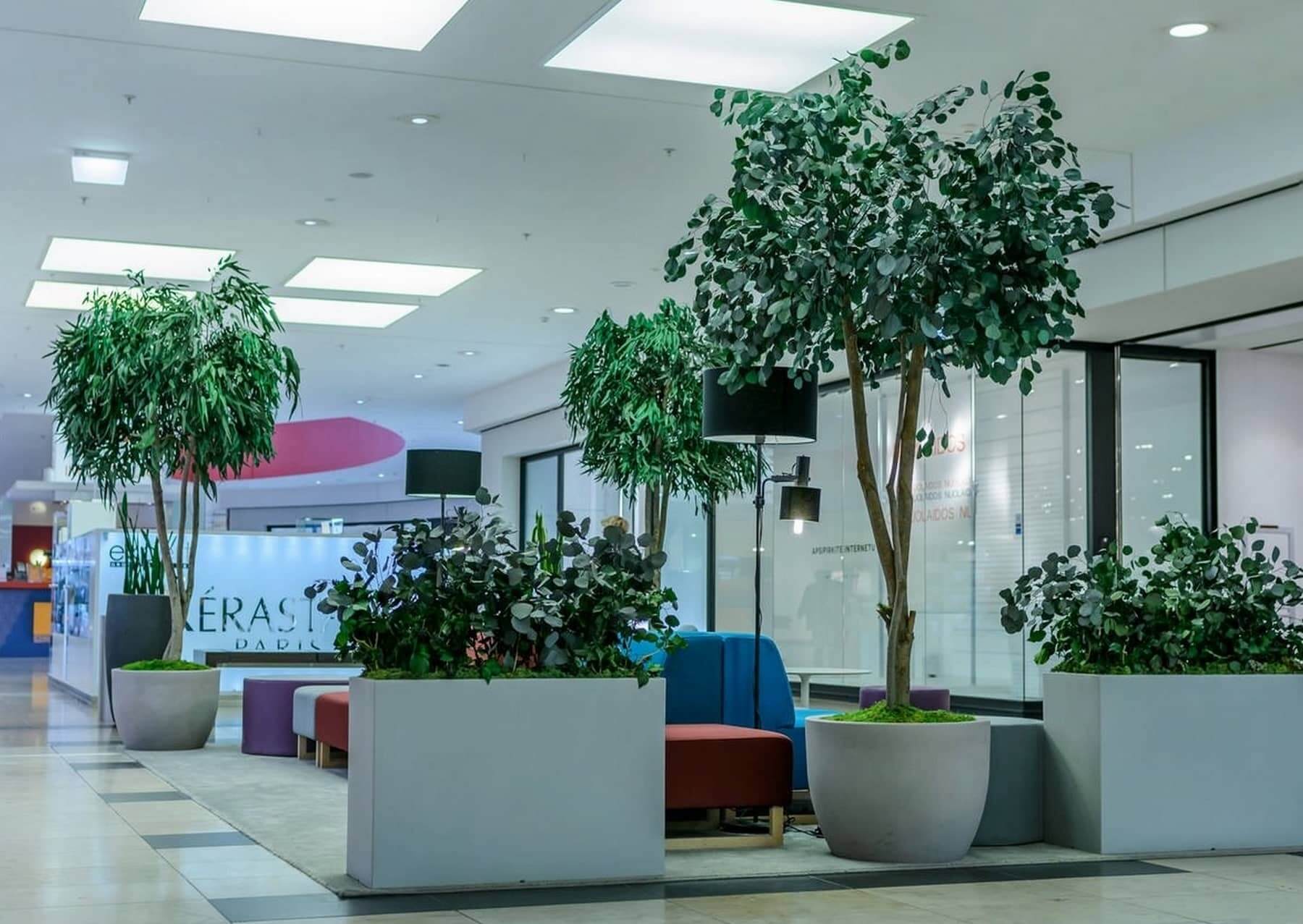 composition de plantes stabilisées et pots dans une zone d'attente