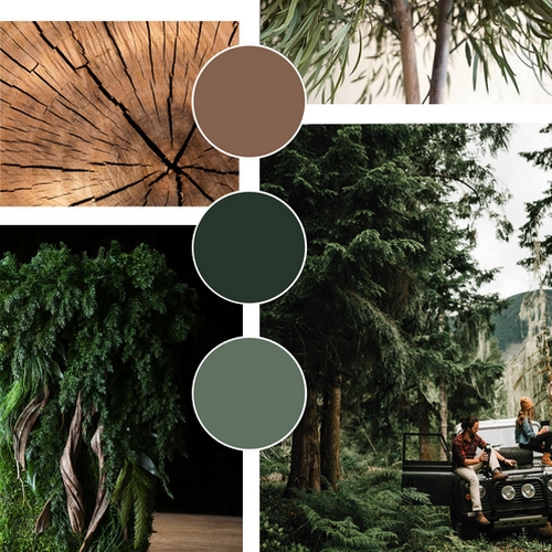 Collage : écorce d'arbre, forêt, personne assise sur un banc