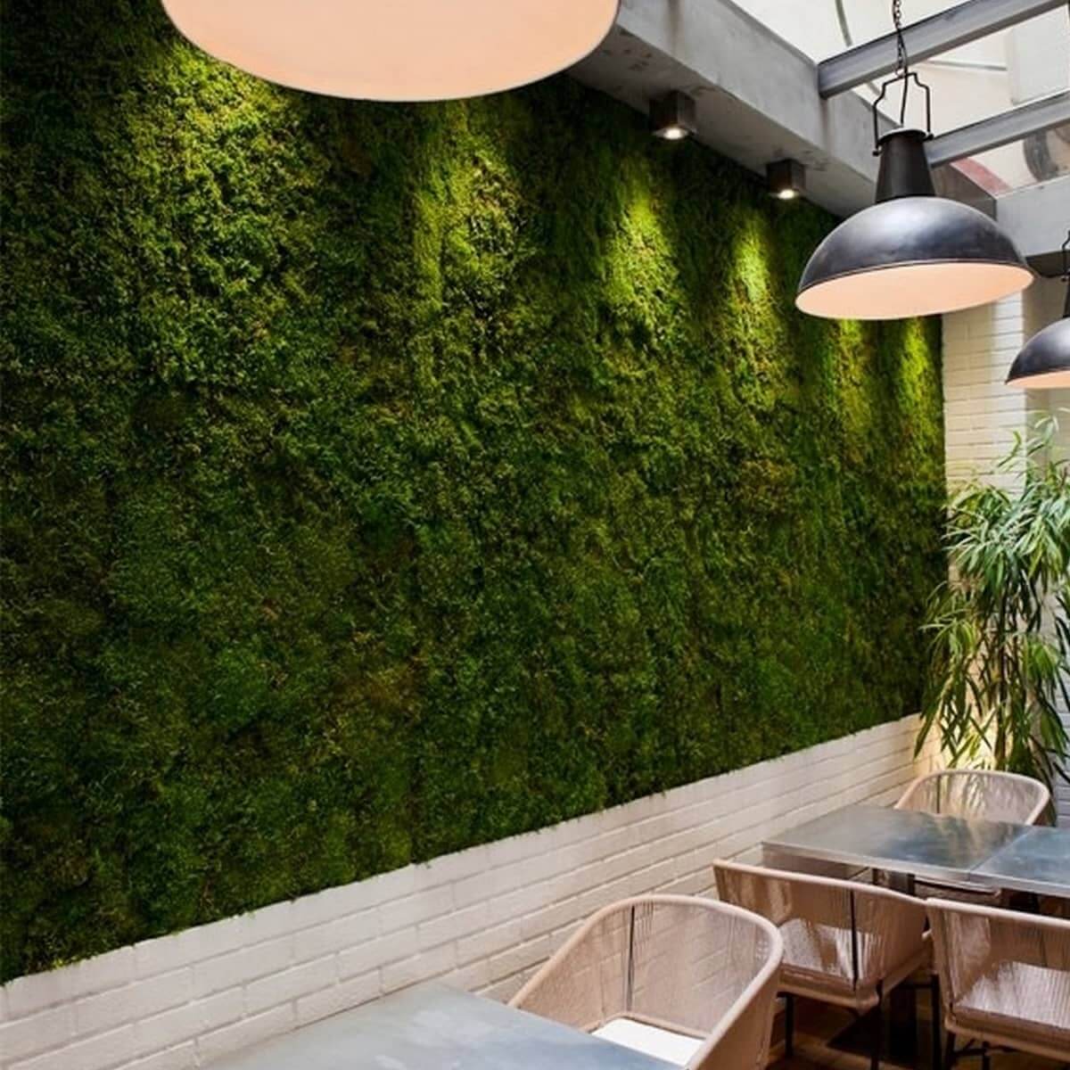 Mur de mousse végétale stabilisé avec suspension lumineuse, décor industriel