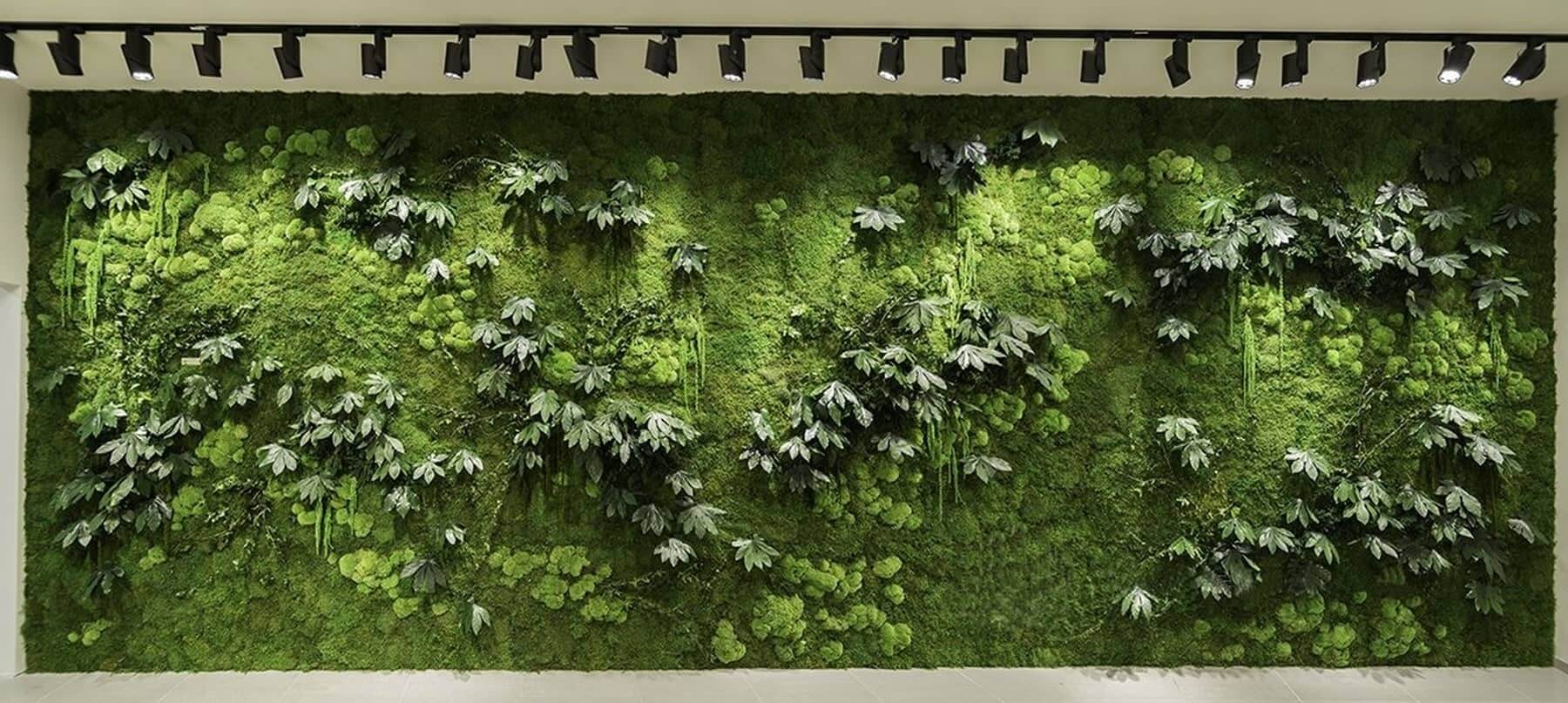 mur vegetal xxl feuillages aralia et mousses