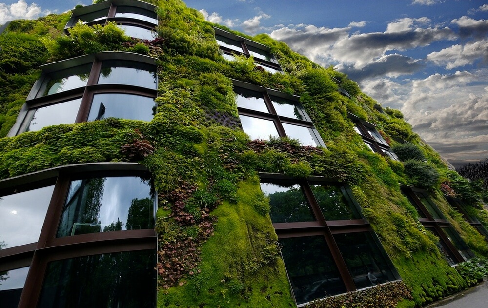 facade d'immeuble végétalisée